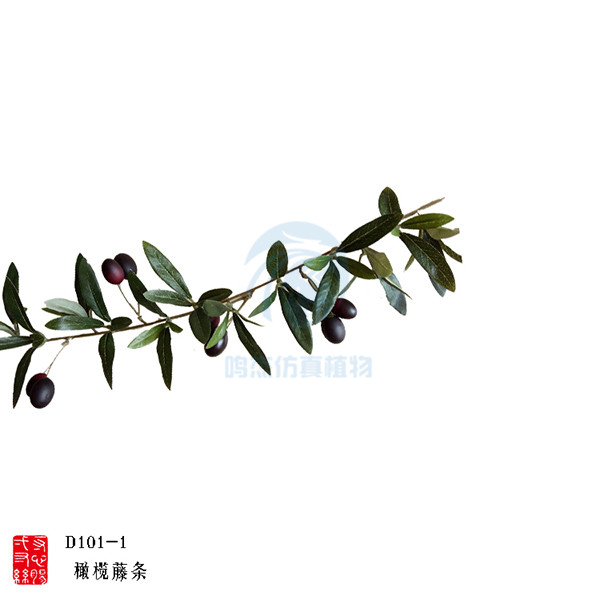 橄榄藤枝D101-1